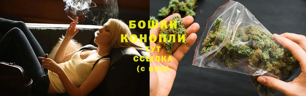 соль ск Бородино