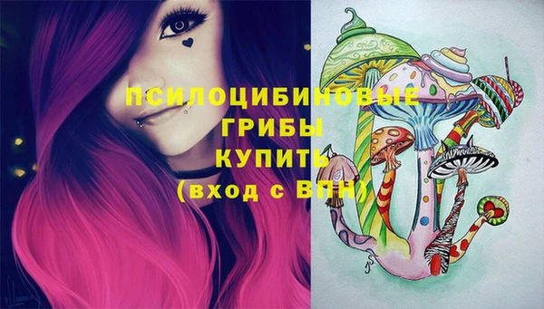 apvp Богданович
