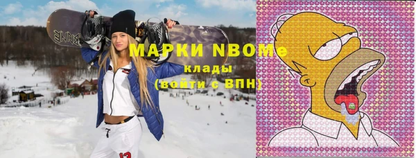 соль ск Бородино