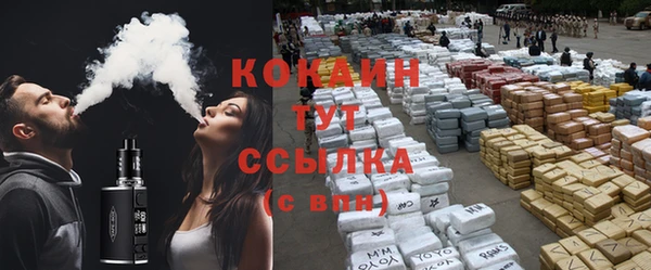 соль ск Бородино