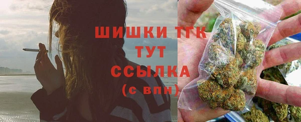 соль ск Бородино