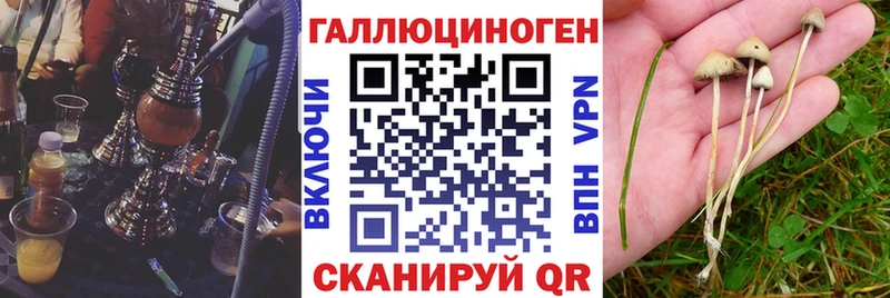 Галлюциногенные грибы Magic Shrooms  omg ONION  Гагарин 